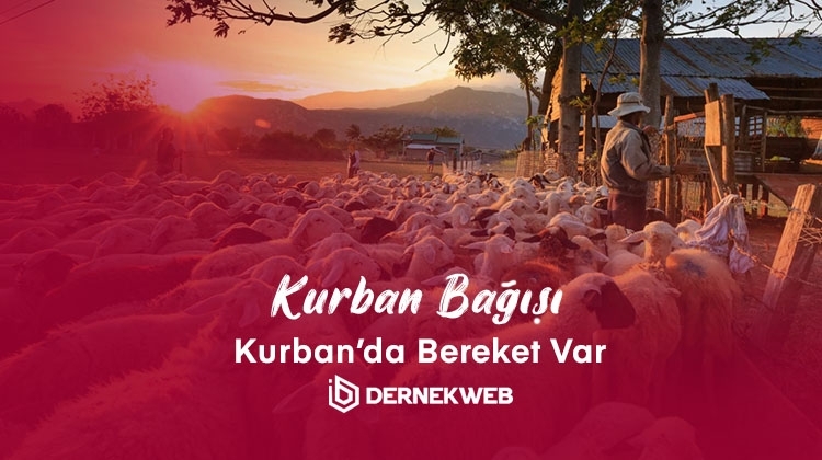 Kurban Bağışı